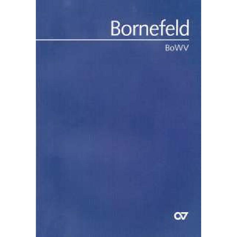 Titelbild für CARUS 24028-00 - Bornefeld Werk Verzeichnis (BOWV)