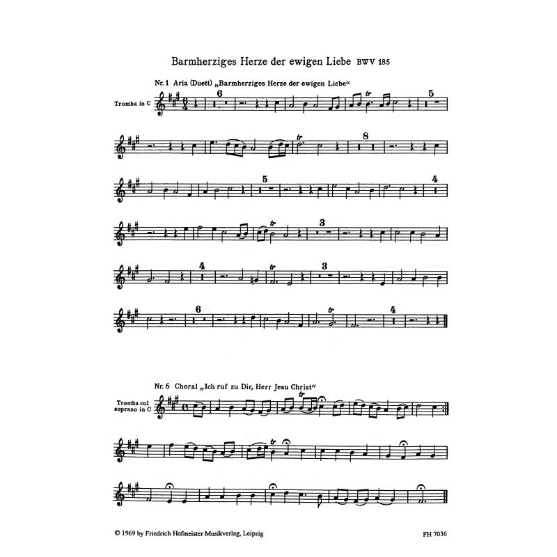 Notenbild für FH 7036 - BACH STUDIEN 4 - KANTATEN BWV 185-215