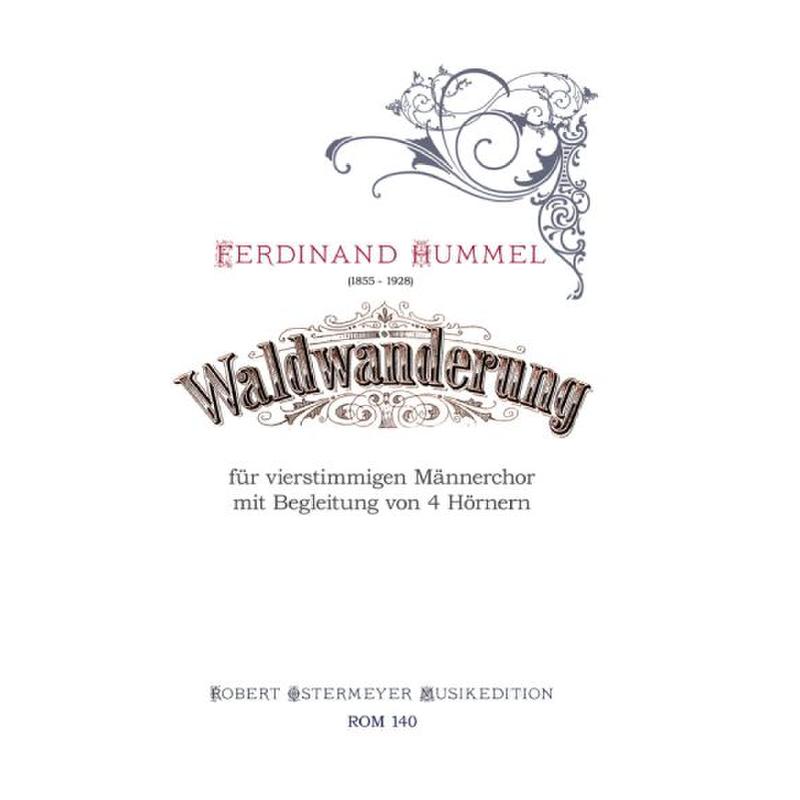 Titelbild für ROM 140 - Waldwanderung