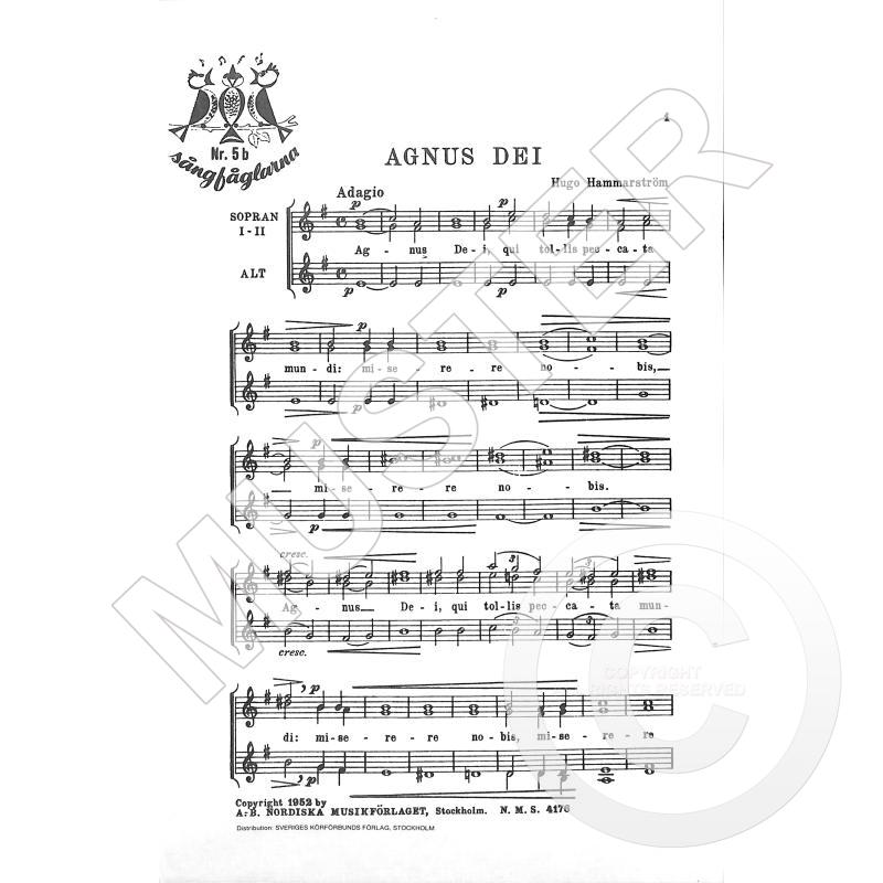 Titelbild für NMS 4176 - Agnus dei
