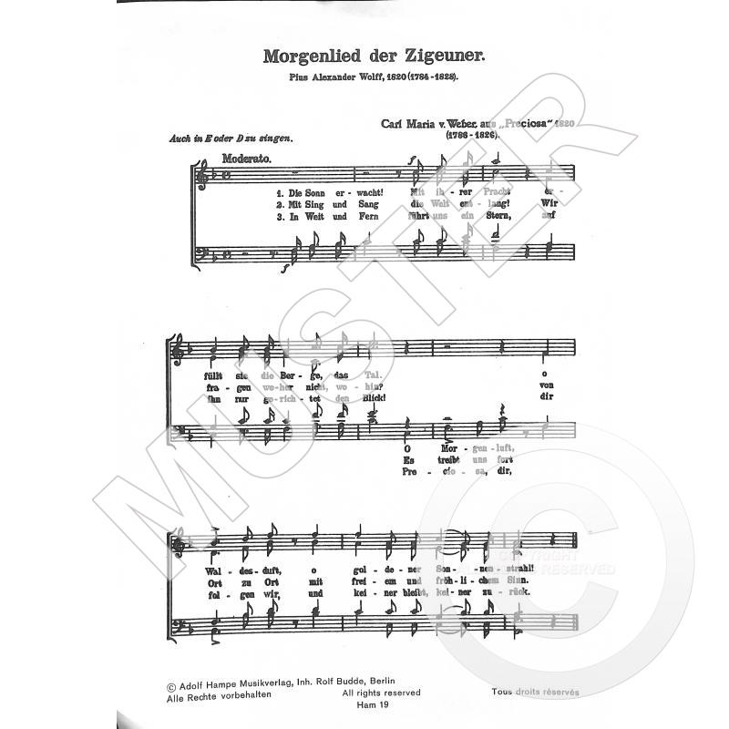 Titelbild für HAMPE 19 - Morgenlied der Zigeuner (aus Preciosa)