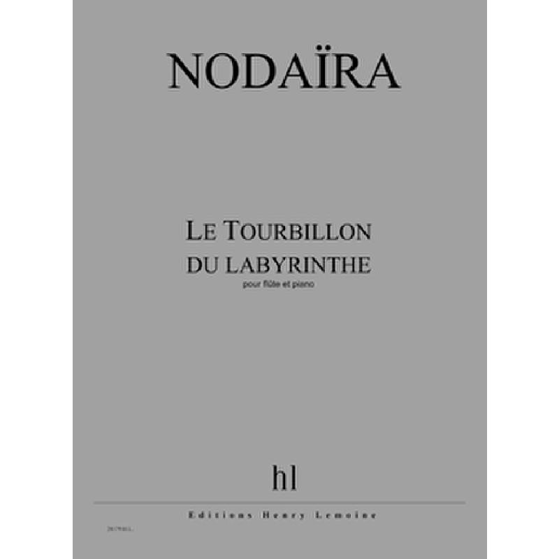 Titelbild für LEMOINE 28179 - Le tourbillon du labyrinthe