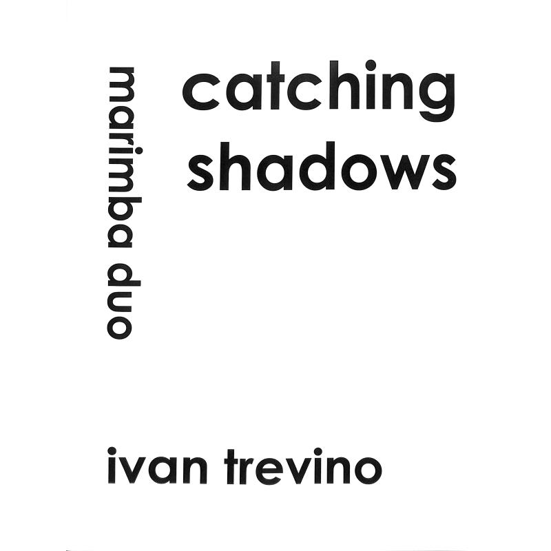 Titelbild für BRANDT 048-471 - Catching shadows