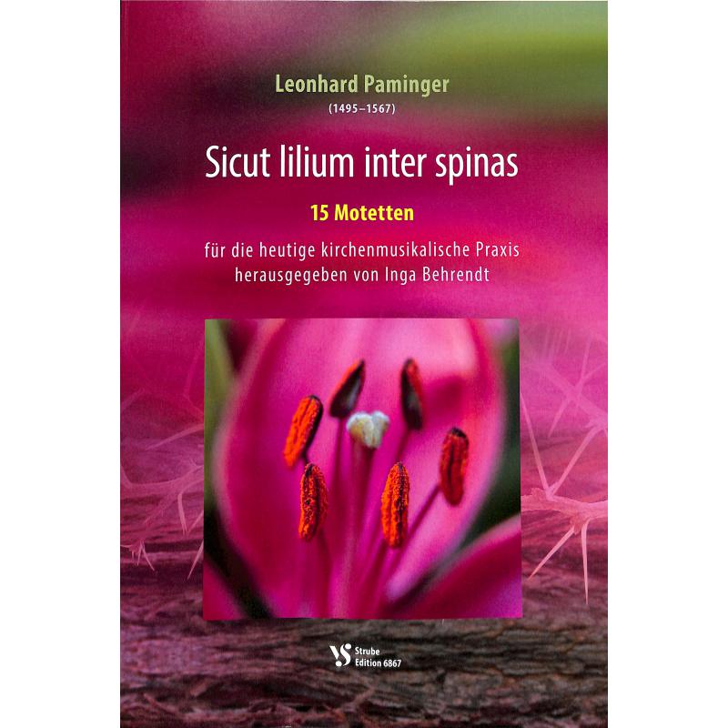 Titelbild für VS 6867 - Sicut lilium inter spinas