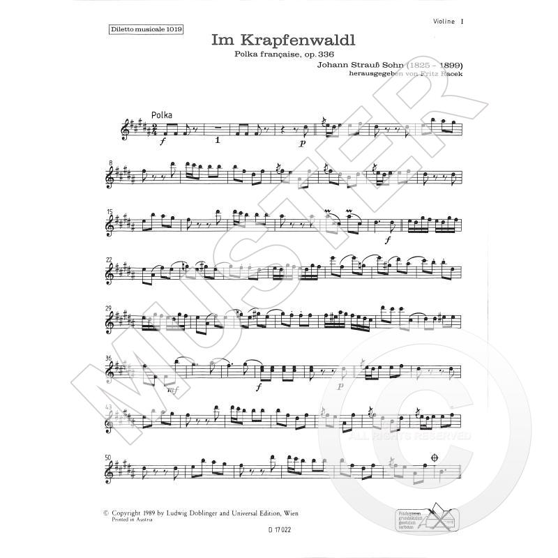Titelbild für DM 1019-VL1 - Im Krapfenwaldl op 336