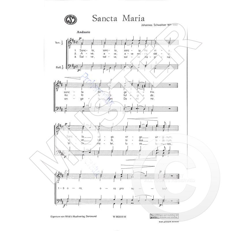 Titelbild für WILDT 2010 - Sancta Maria