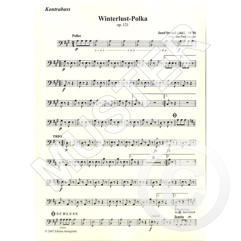 Titelbild für STRINGENDO 2852-7 - Winterlust Polka op 121