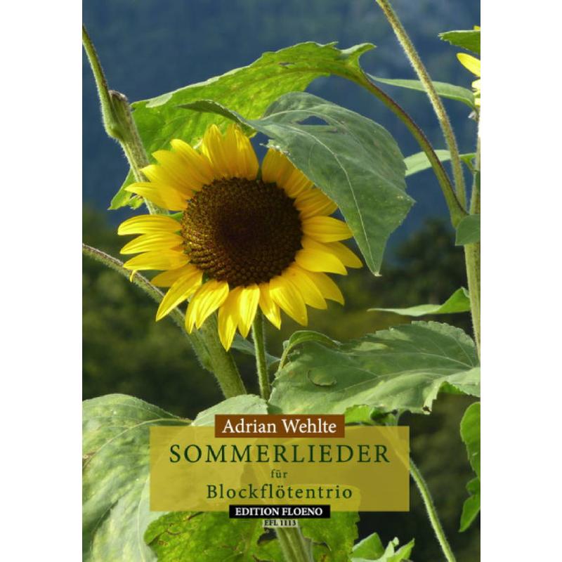 Titelbild für FLOENO 1113 - Sommerlieder